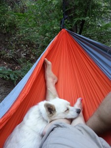 Taking a quick hammock nap after a long hike to Sykes Hot Springs.